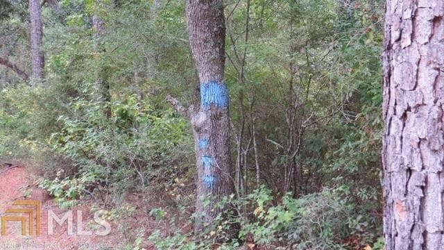 agriculture for sale at 0 Area Line Road, Claxton, GA 30417 — photo 5