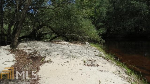 agriculture for sale at 0 Area Line Road, Claxton, GA 30417 — photo 9