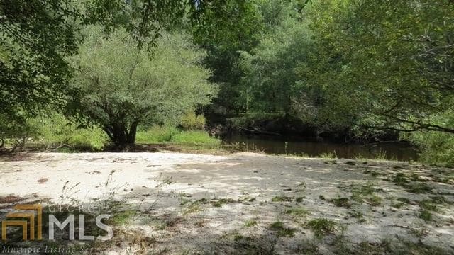 agriculture for sale at 0 Area Line Road, Claxton, GA 30417 — photo 10