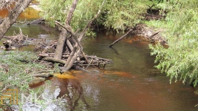 agriculture for sale at 0 Area Line Road, Claxton, GA 30417 — photo 4