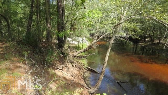 agriculture for sale at 0 Area Line Road, Claxton, GA 30417 — photo 8