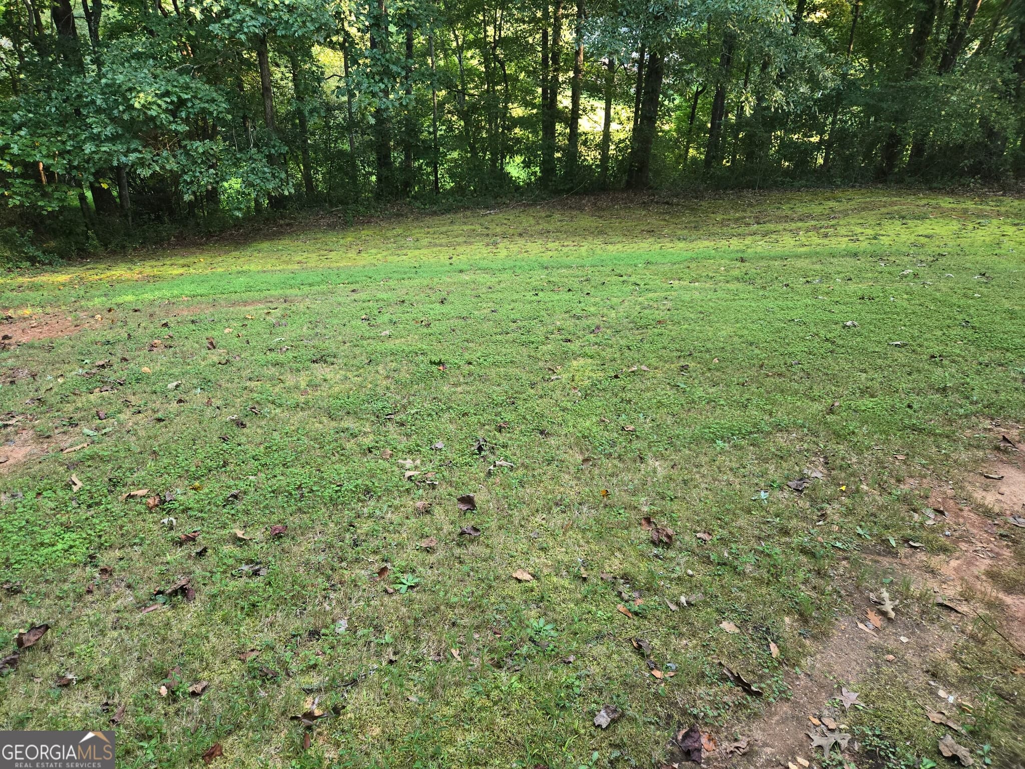 3 bedroom, 2 bathroom, 2,171 sq ft single family residence for sale at 4809 CEDAR LAKE Drive, Conyers, GA 30094 — photo 2