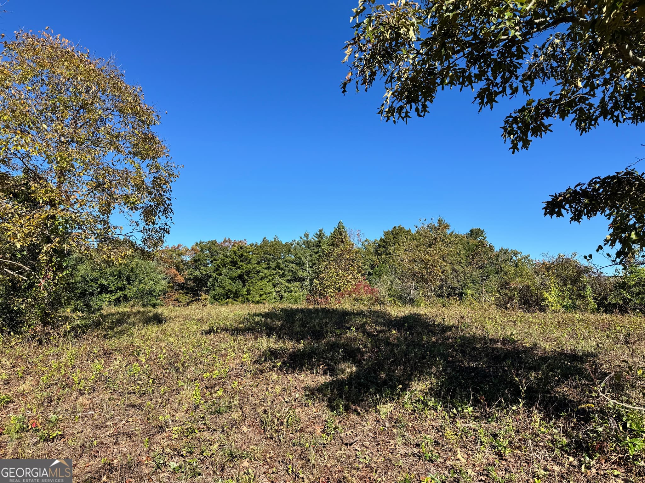 residential lot for sale at 0 Log Cabin Lane LOT 7, Lakemont, GA 30552 — photo 2