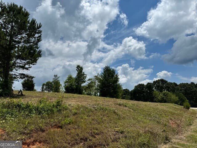 residential lot for sale at 0 Log Cabin Lane LOT 7, Lakemont, GA 30552 — photo 6