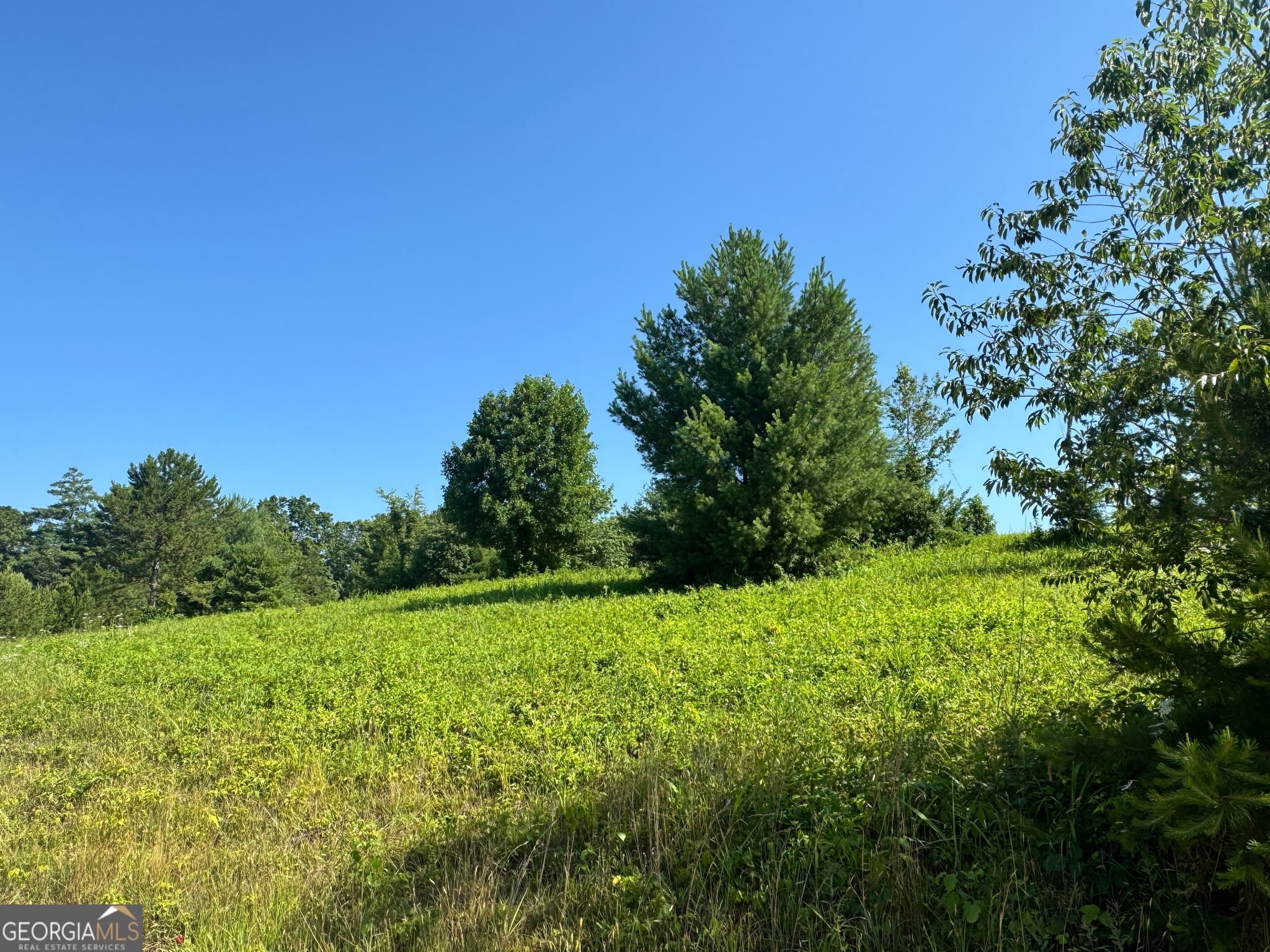 residential lot for sale at 0 Log Cabin Lane LOT 7, Lakemont, GA 30552 — photo 7