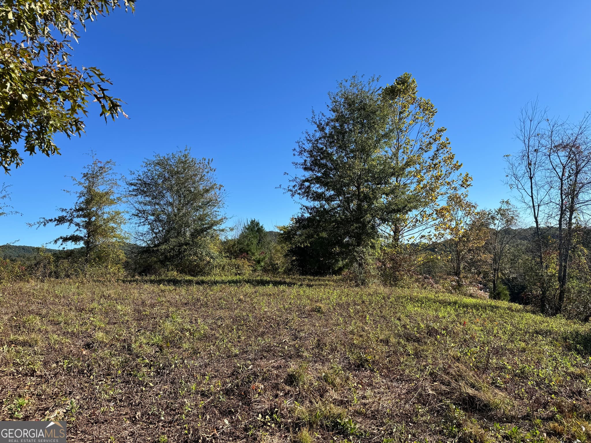 residential lot for sale at 0 Log Cabin Lane LOT 7, Lakemont, GA 30552 — photo 1 of 9