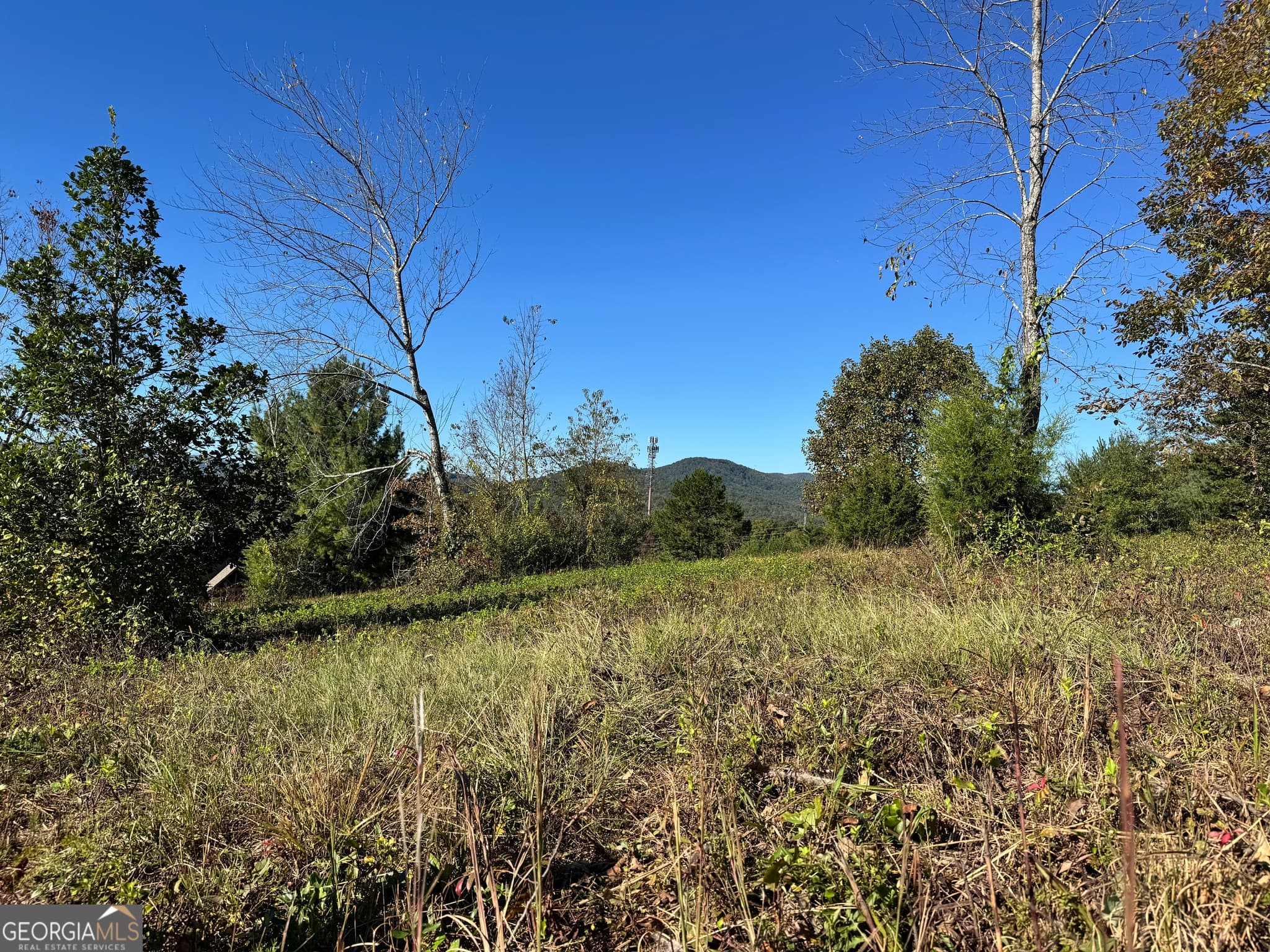 residential lot for sale at 0 Log Cabin Lane LOT 7, Lakemont, GA 30552 — photo 5