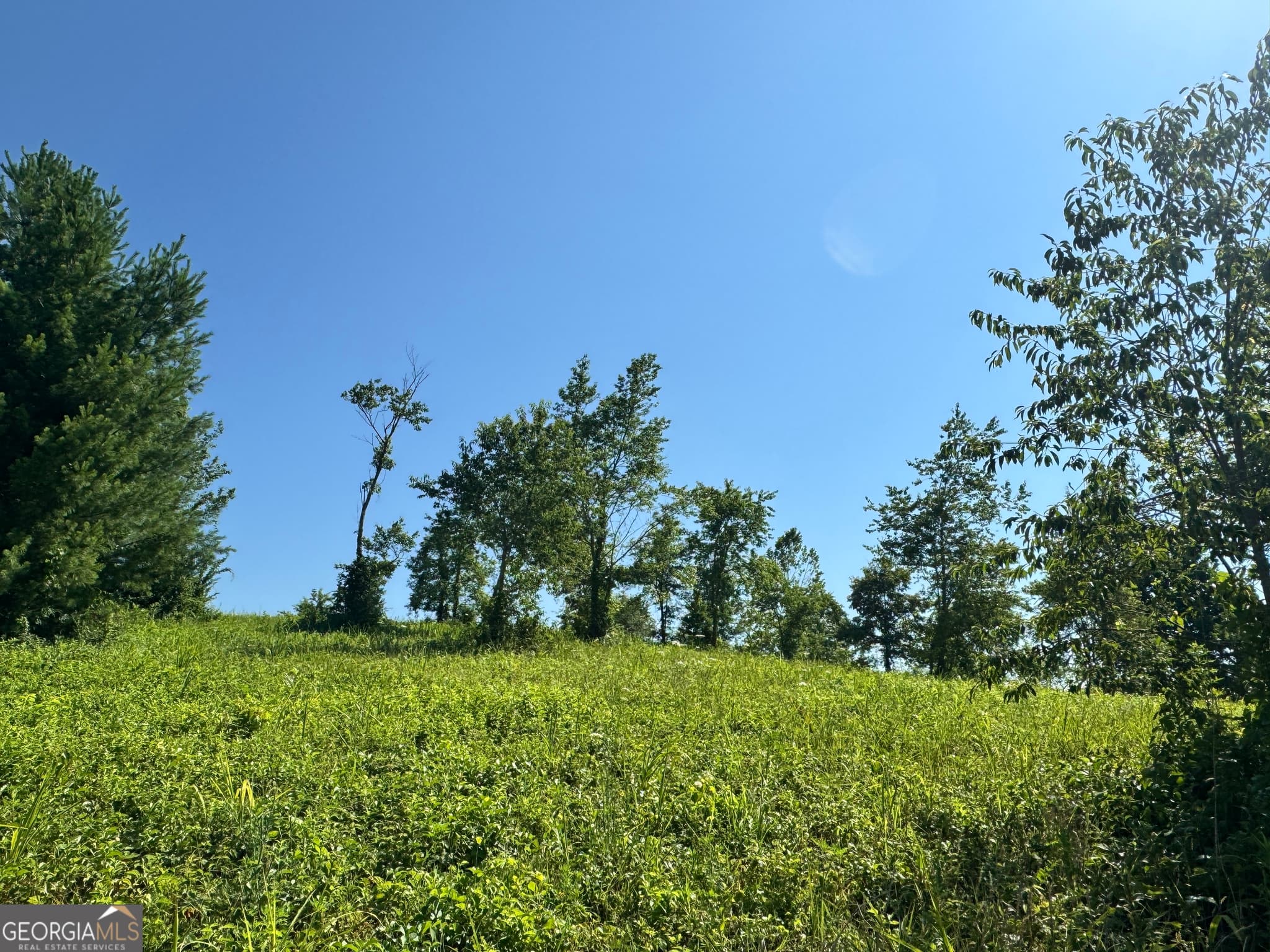 residential lot for sale at 0 Log Cabin Lane LOT 7, Lakemont, GA 30552 — photo 9