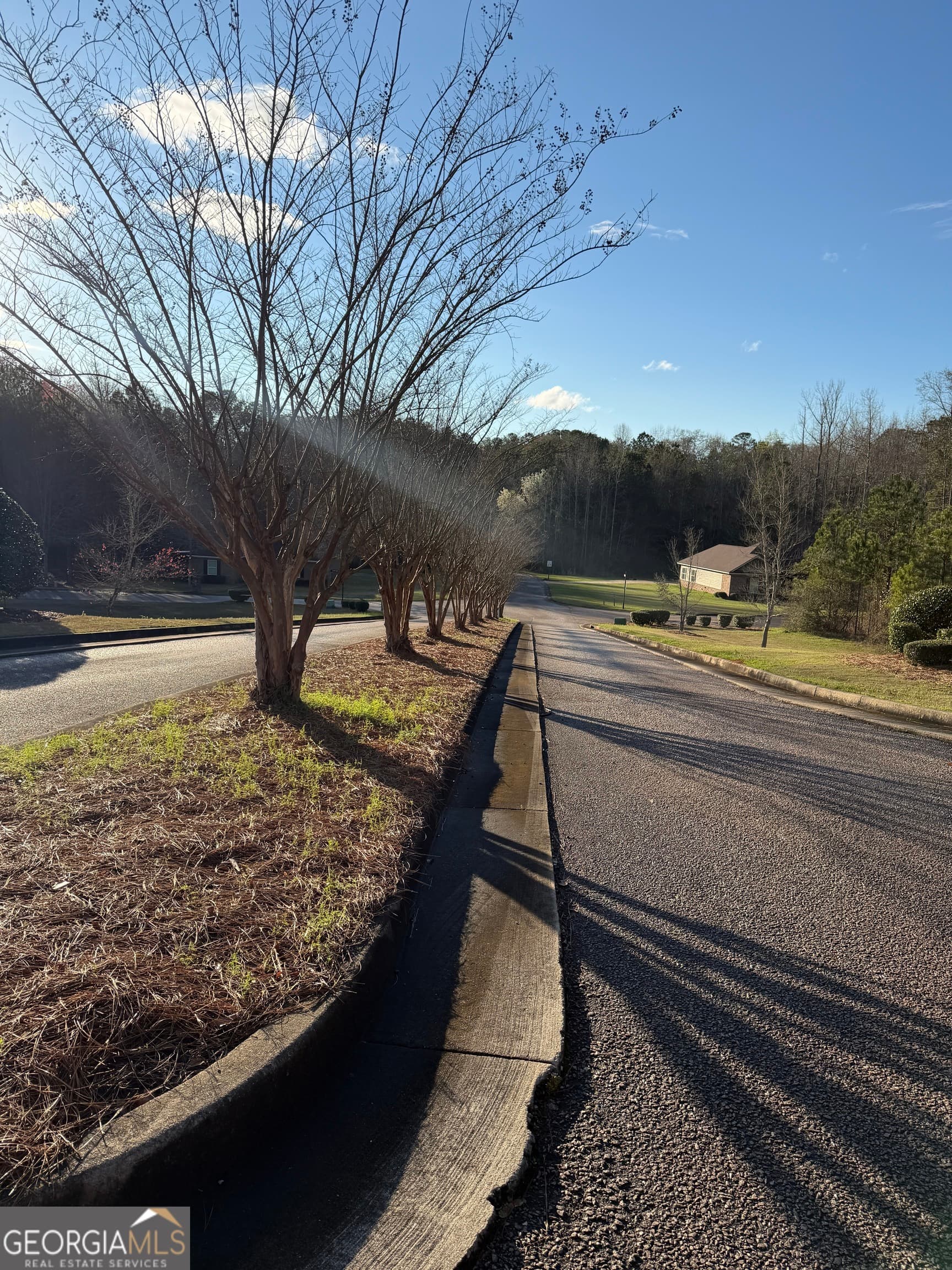 residential lot for sale at 619 & 629 Ivy Court, Lanett, AL 36863 — photo 2