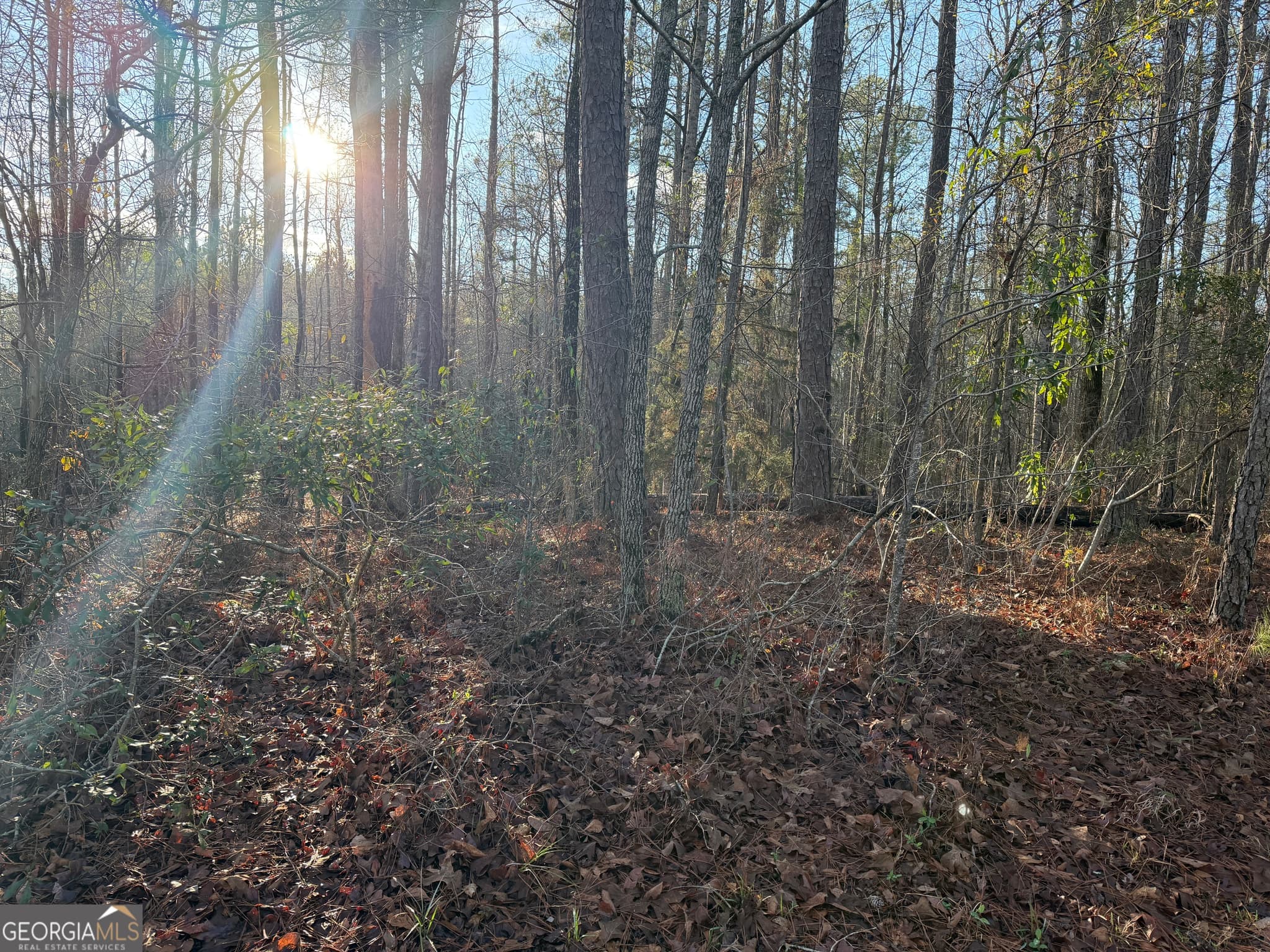 residential lot for sale at 619 & 629 Ivy Court, Lanett, AL 36863 — photo 6