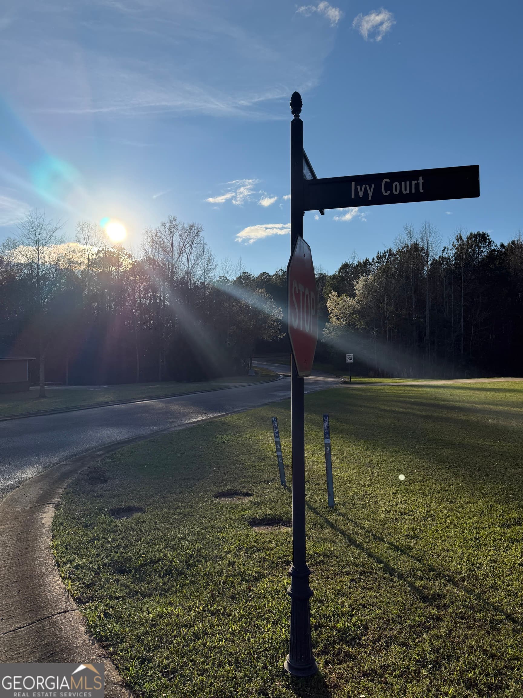 residential lot for sale at 619 & 629 Ivy Court, Lanett, AL 36863 — photo 3