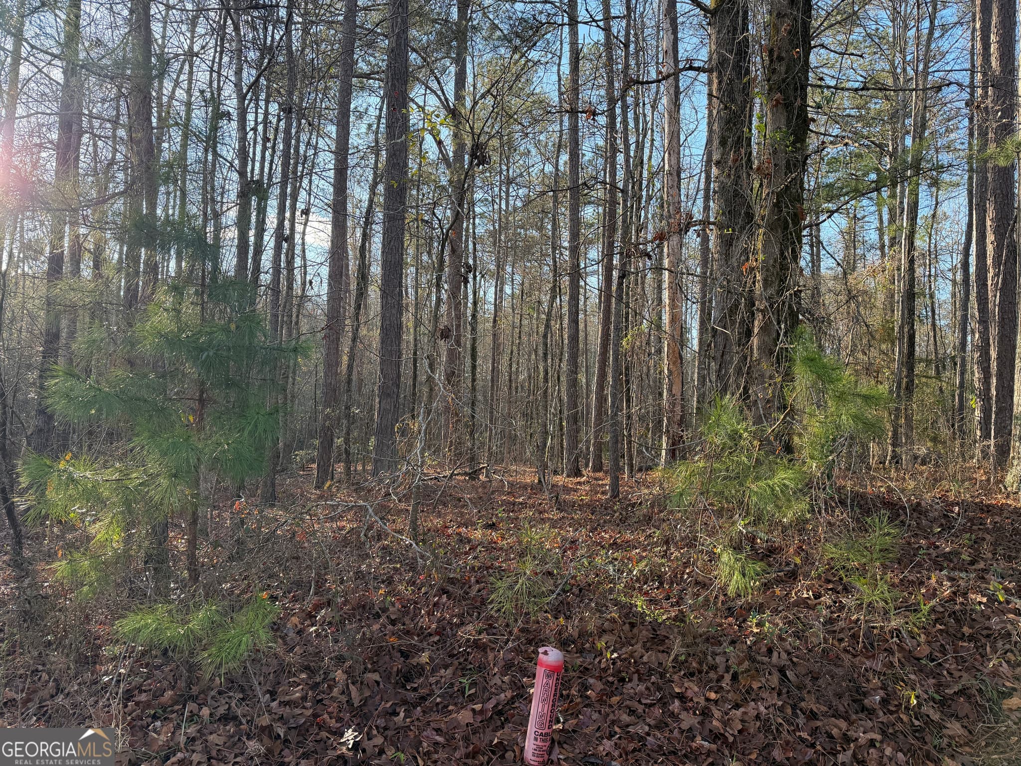 residential lot for sale at 619 & 629 Ivy Court, Lanett, AL 36863 — photo 5