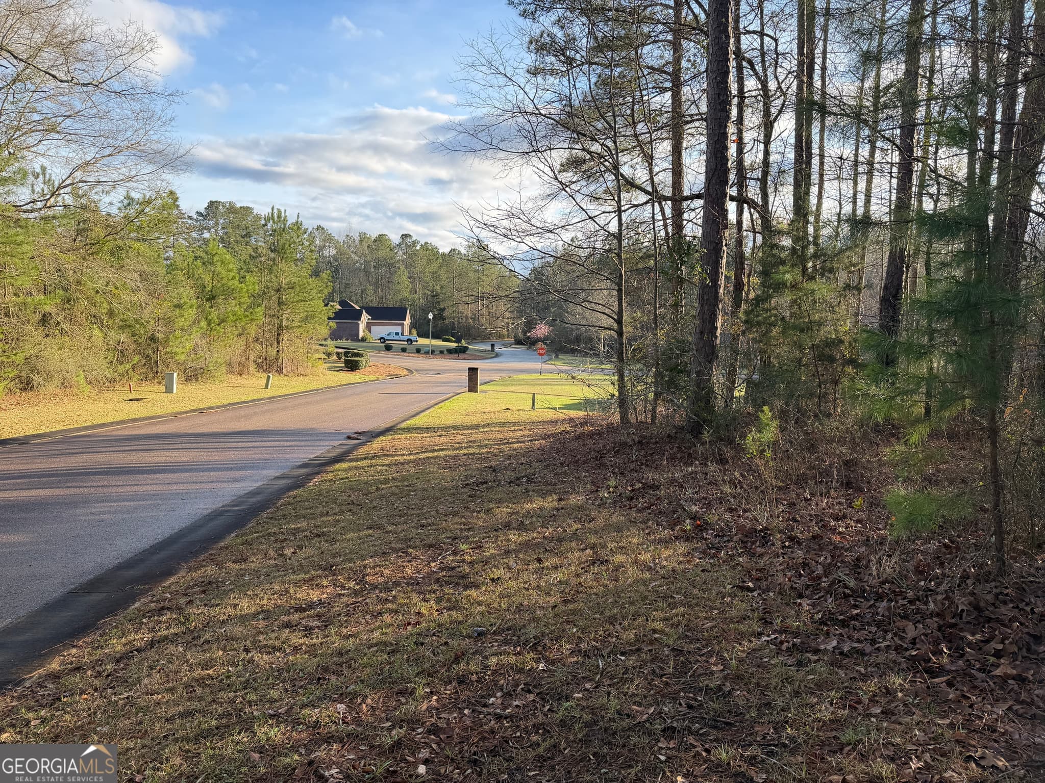 residential lot for sale at 619 & 629 Ivy Court, Lanett, AL 36863 — photo 9