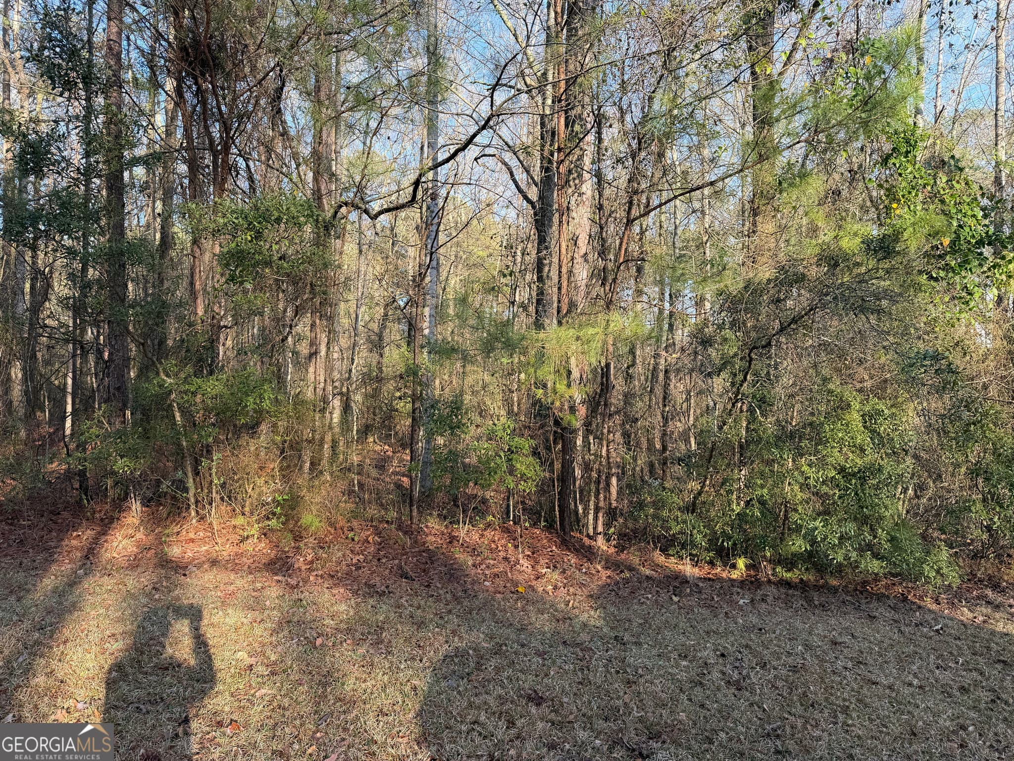 residential lot for sale at 619 & 629 Ivy Court, Lanett, AL 36863 — photo 10