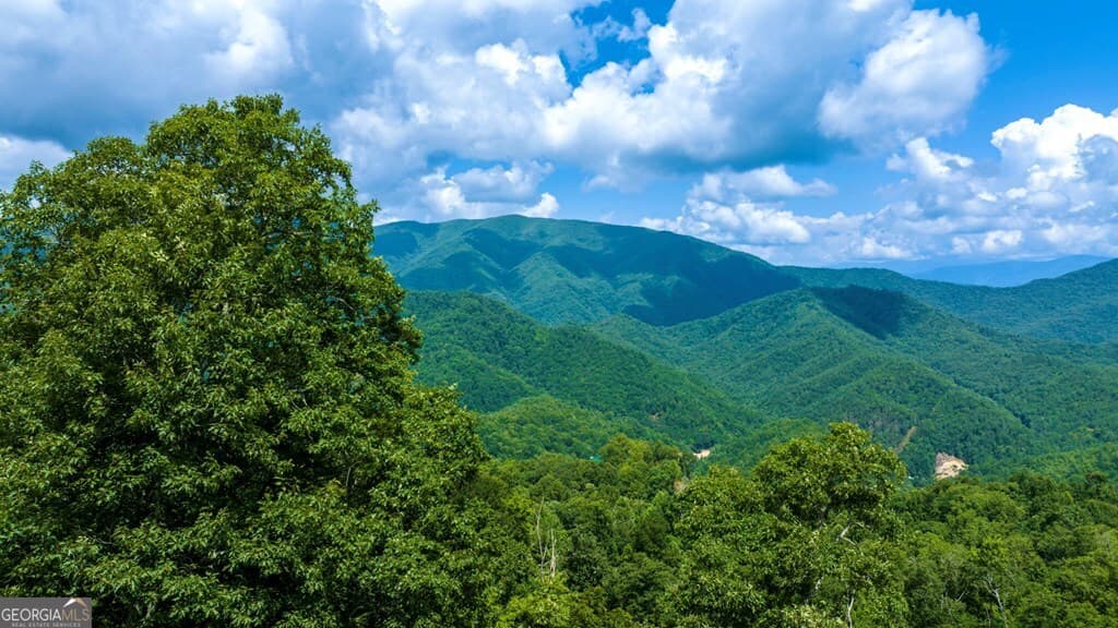1 bedroom, 1 bathroom, 2,240 sq ft cabin,single family residence for sale at 235 Rios Drive, Bryson City, NC 28713 — photo 3