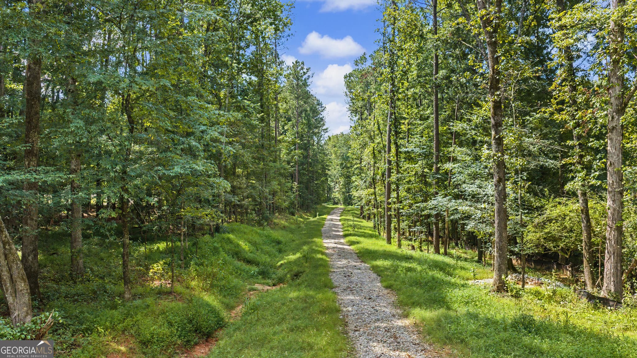 estate lot for sale at 38.682 ACRES Btwn 446 & 478 Rising Star Road, Brooks, GA 30205 — photo 2