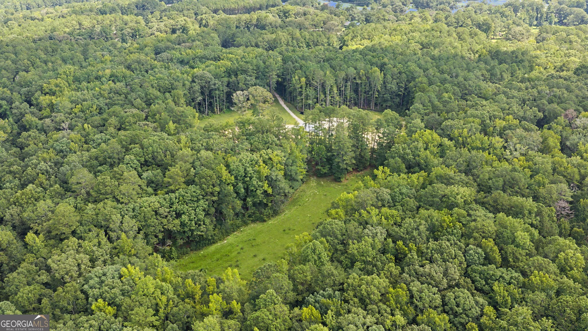 estate lot for sale at 38.682 ACRES Btwn 446 & 478 Rising Star Road, Brooks, GA 30205 — photo 3