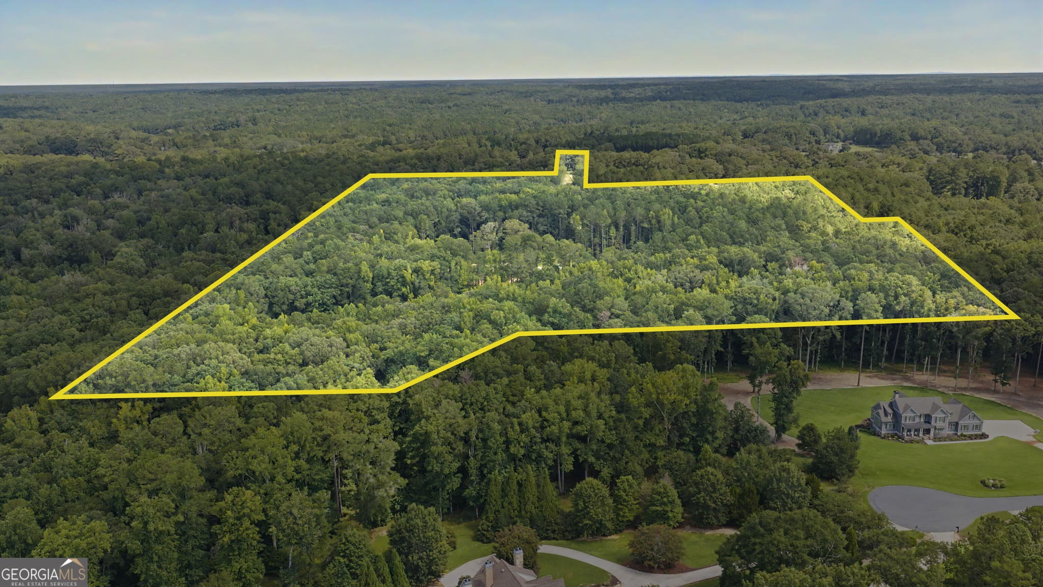 estate lot for sale at 38.682 ACRES Btwn 446 & 478 Rising Star Road, Brooks, GA 30205 — photo 4