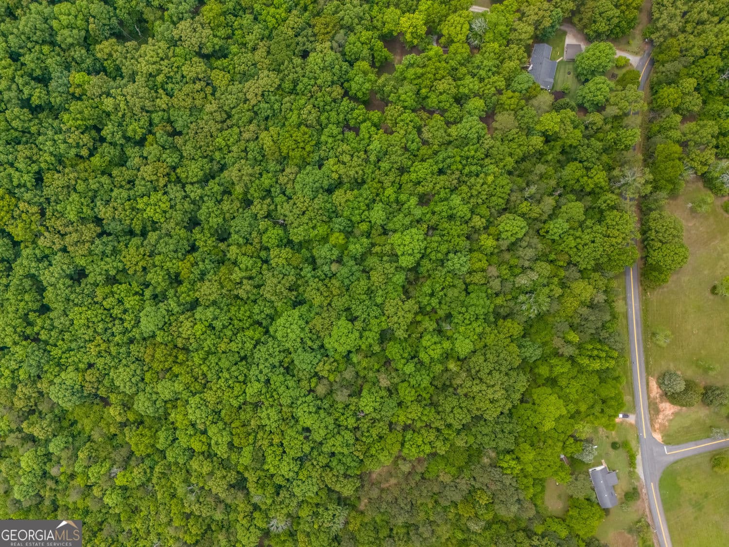 residential lot for sale at 0 Mullinax Road, Taylorsville, GA 30178 — photo 3