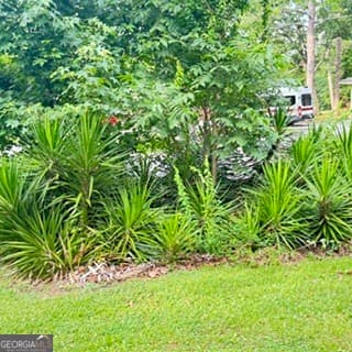 4 bedroom, 2.5 bathroom, 2,631 sq ft single family residence for sale at 207 Iris Drive, Centre, AL 35960 — photo 7