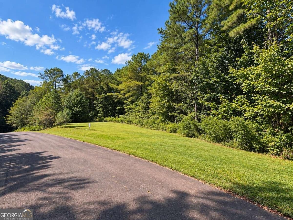 residential lot for sale at LT 45 Grandview Lane, Ellijay, GA 30536 — photo 2