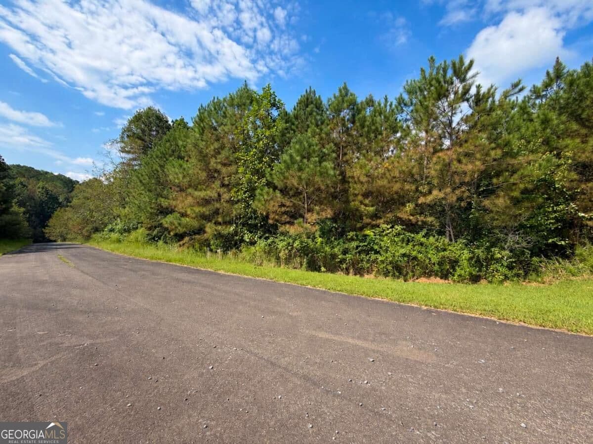 residential lot for sale at LT 45 Grandview Lane, Ellijay, GA 30536 — photo 6