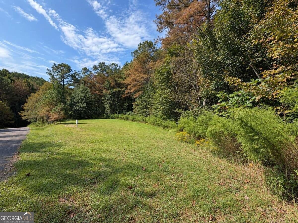 residential lot for sale at LT 45 Grandview Lane, Ellijay, GA 30536 — photo 7