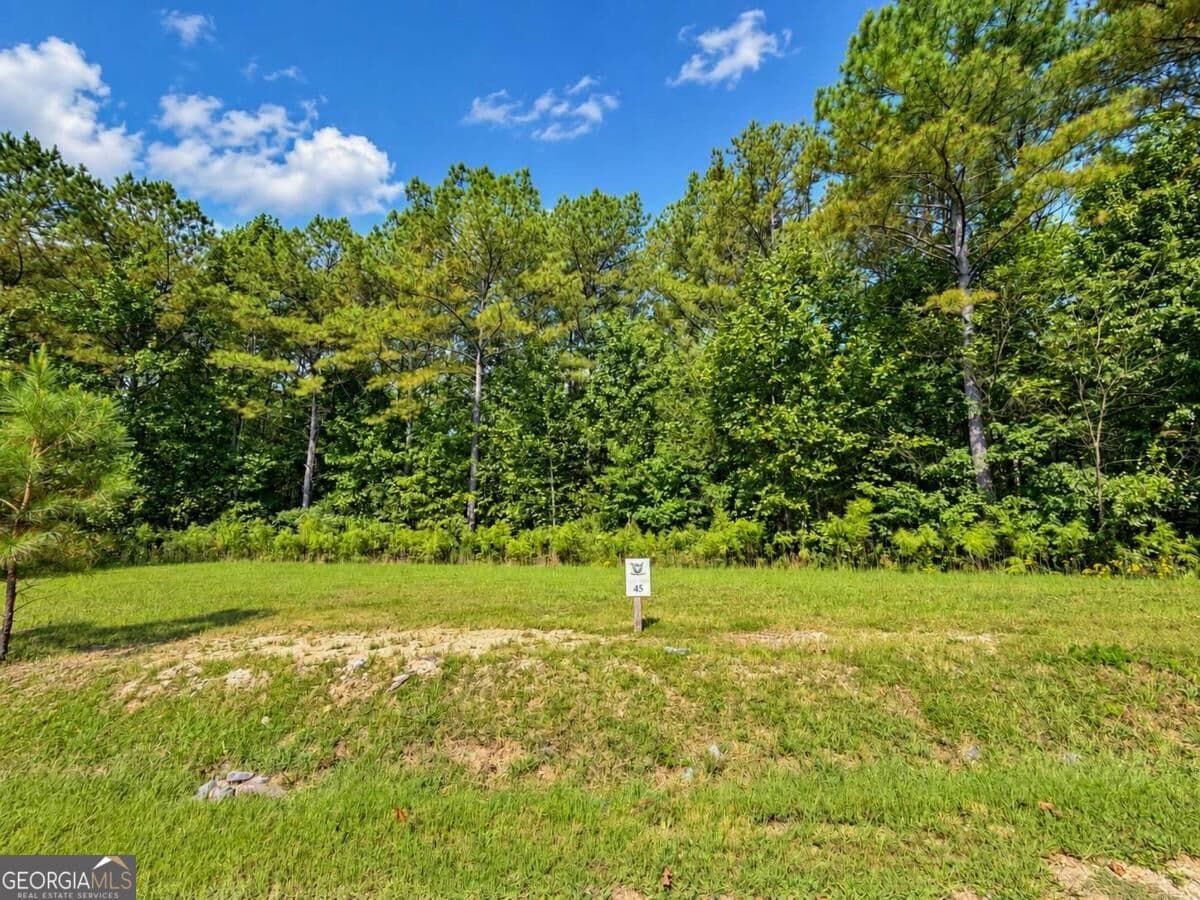 residential lot for sale at LT 45 Grandview Lane, Ellijay, GA 30536 — photo 3