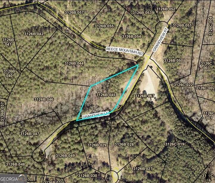 residential lot for sale at LT 45 Grandview Lane, Ellijay, GA 30536 — photo 5