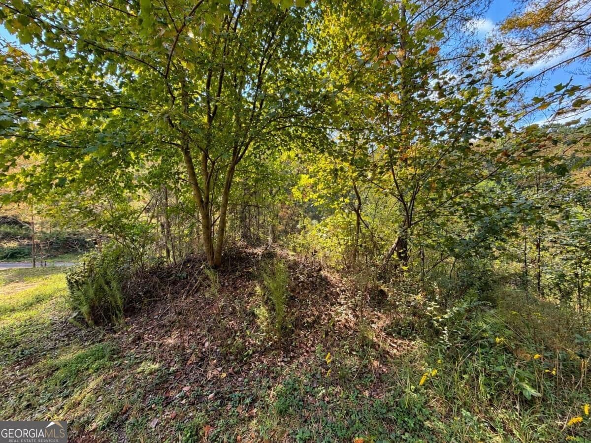 residential lot for sale at LT 45 Grandview Lane, Ellijay, GA 30536 — photo 9