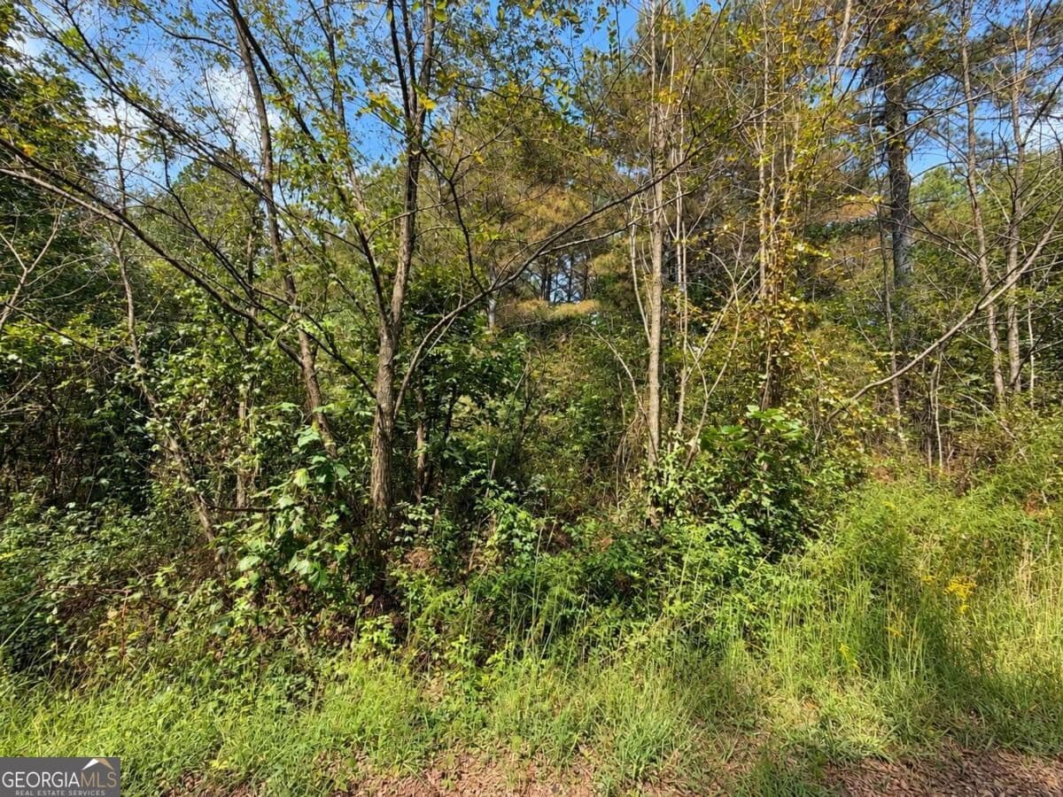 residential lot for sale at LT 45 Grandview Lane, Ellijay, GA 30536 — photo 10