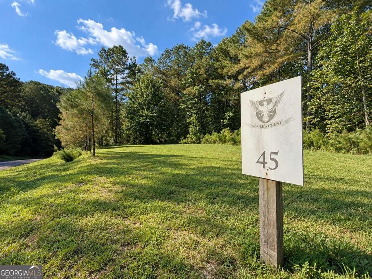 residential lot for sale at LT 45 Grandview Lane, Ellijay, GA 30536 — photo 4