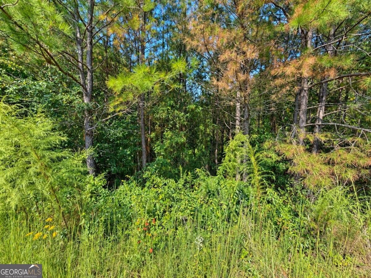 residential lot for sale at LT 45 Grandview Lane, Ellijay, GA 30536 — photo 8