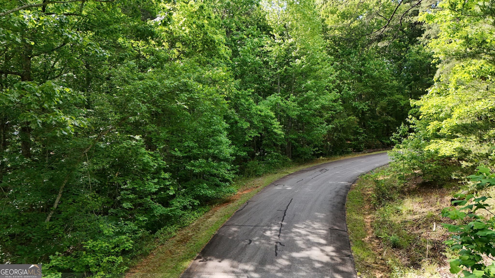 residential lot for sale at 0 Terry Court, Clarkesville, GA 30523 — photo 2