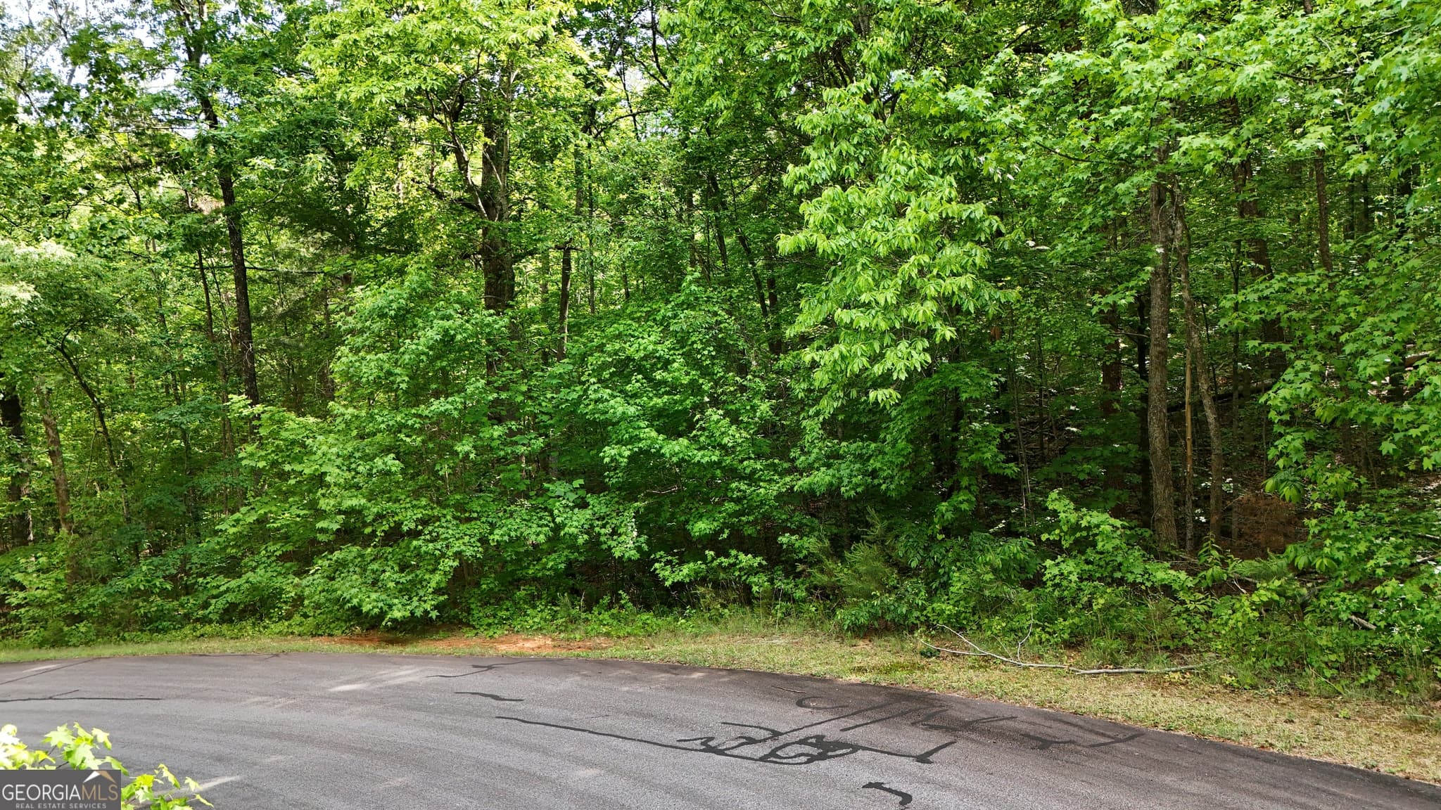 residential lot for sale at 0 Terry Court, Clarkesville, GA 30523 — photo 3