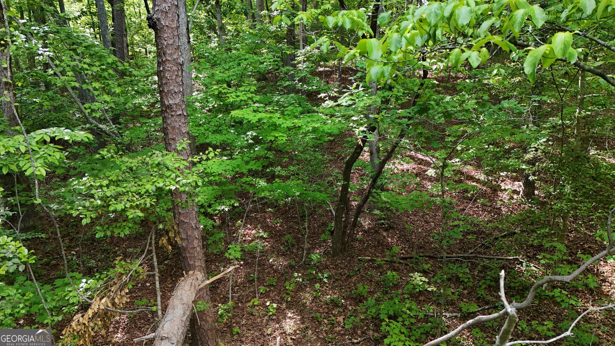 residential lot for sale at 0 Terry Court, Clarkesville, GA 30523 — photo 5