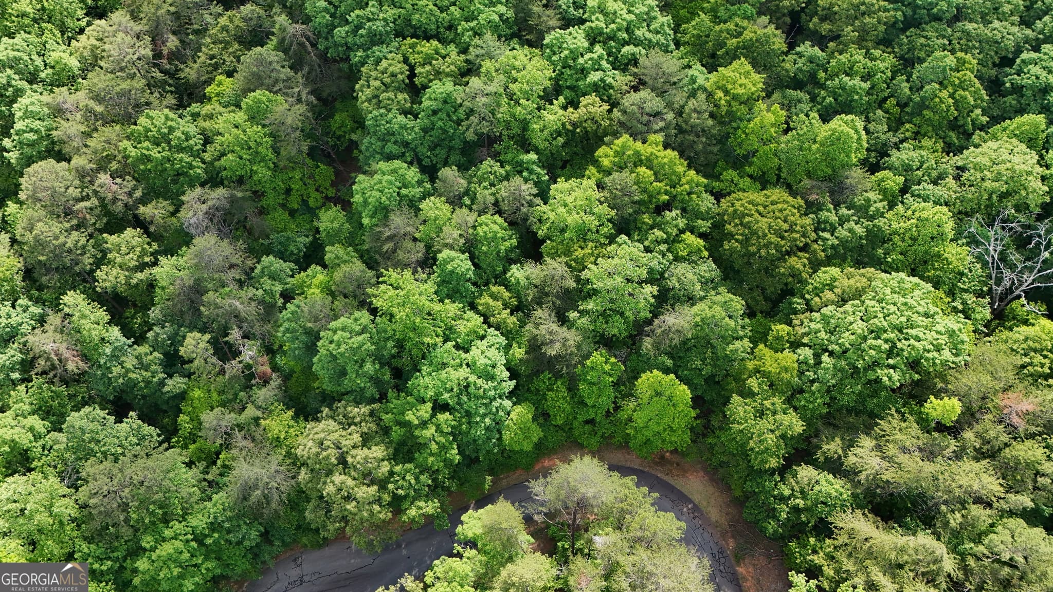 residential lot for sale at 0 Terry Court, Clarkesville, GA 30523 — photo 4