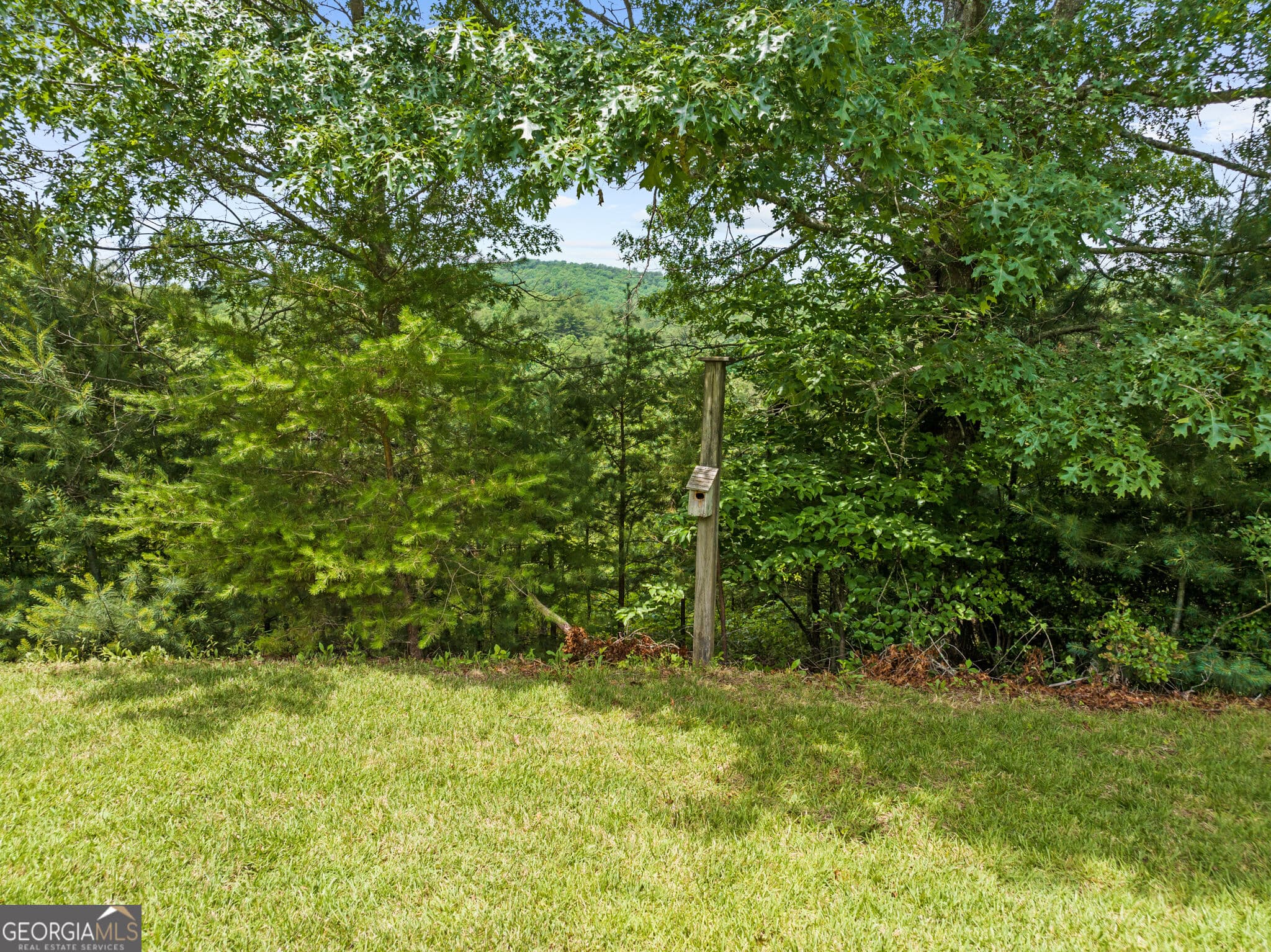 unimproved land for sale at 177 - A Shangri La Drive, Mineral Bluff, GA 30559 — photo 5