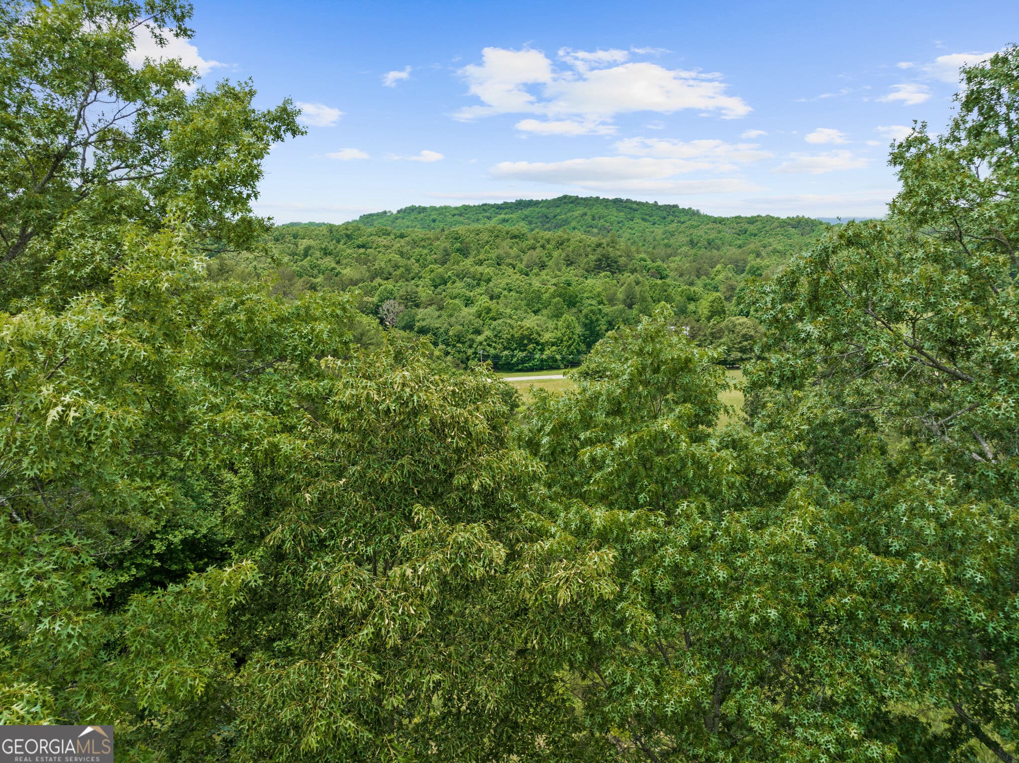 unimproved land for sale at 177 - A Shangri La Drive, Mineral Bluff, GA 30559 — photo 4