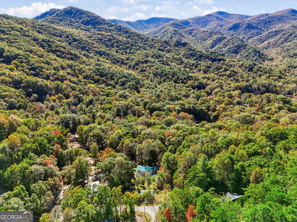 3 bedroom, 2 bathroom single family residence for sale at 305 Gander Gap Road, Hiawassee, GA 30546 — photo 9