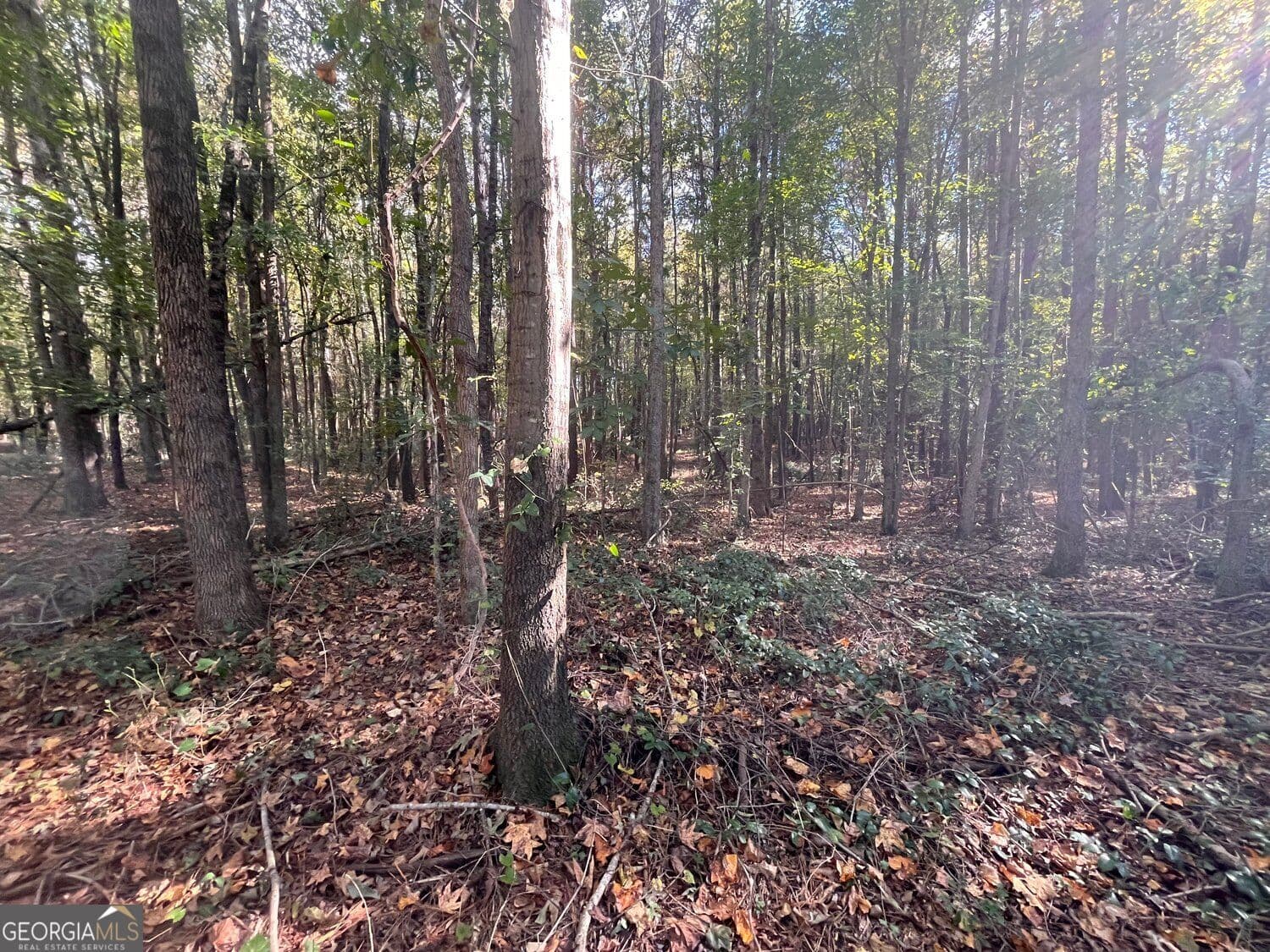 residential lot for sale at 0 Jarrett Lane, Gillsville, GA 30543 — photo 6