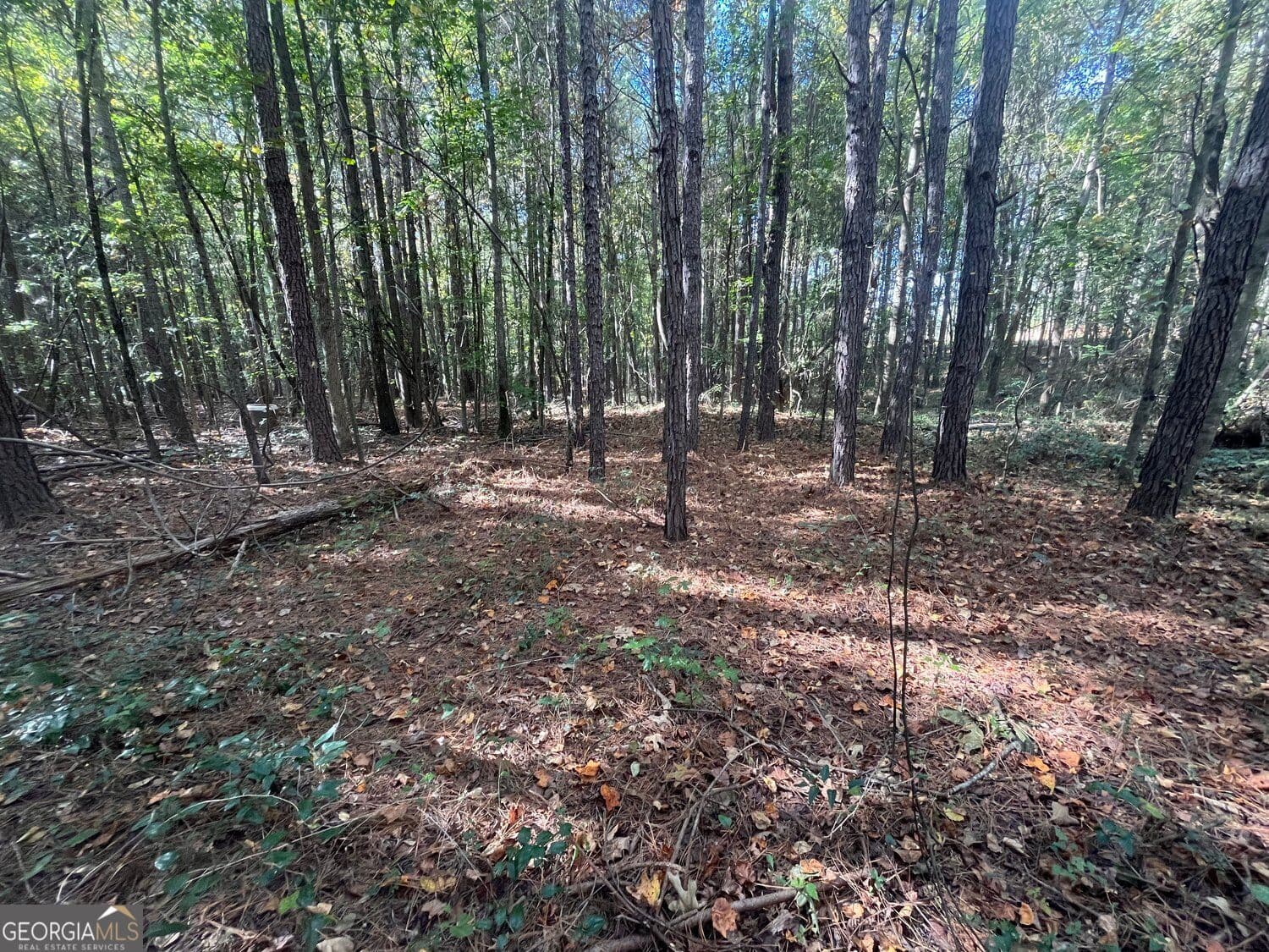 residential lot for sale at 0 Jarrett Lane, Gillsville, GA 30543 — photo 7