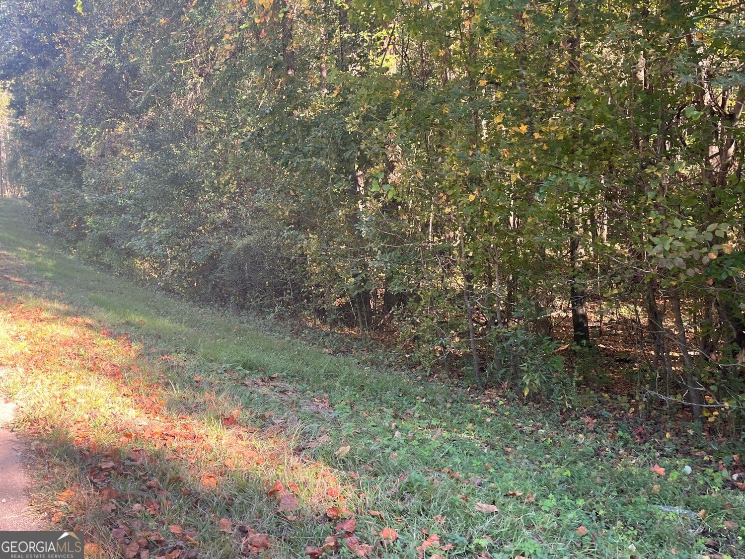 residential lot for sale at 0 Jarrett Lane, Gillsville, GA 30543 — photo 3