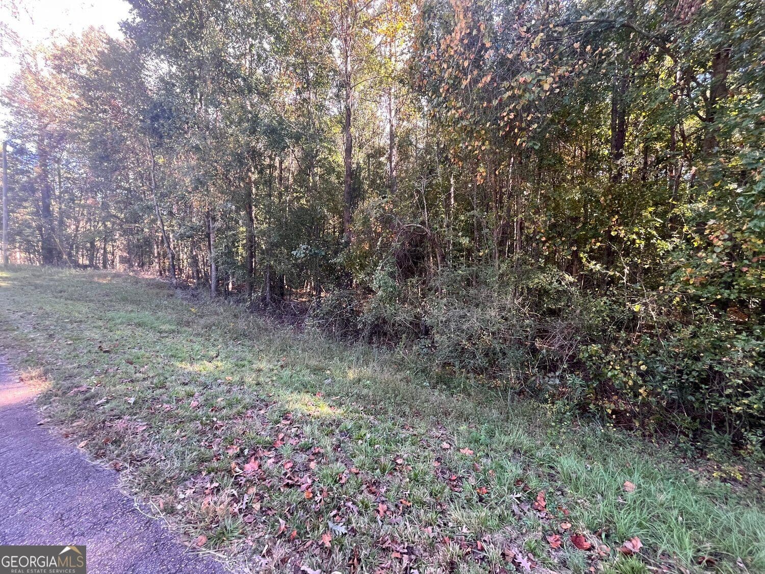 residential lot for sale at 0 Jarrett Lane, Gillsville, GA 30543 — photo 1 of 7