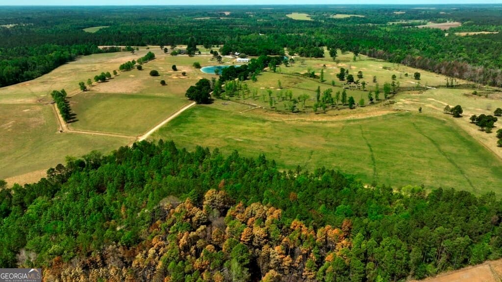 agriculture for sale at 5391 Big Pine Road, Garfield, GA 30425 — photo 2
