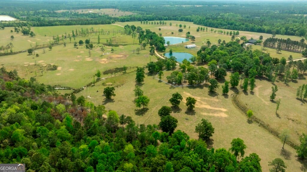 agriculture for sale at 5391 Big Pine Road, Garfield, GA 30425 — photo 3