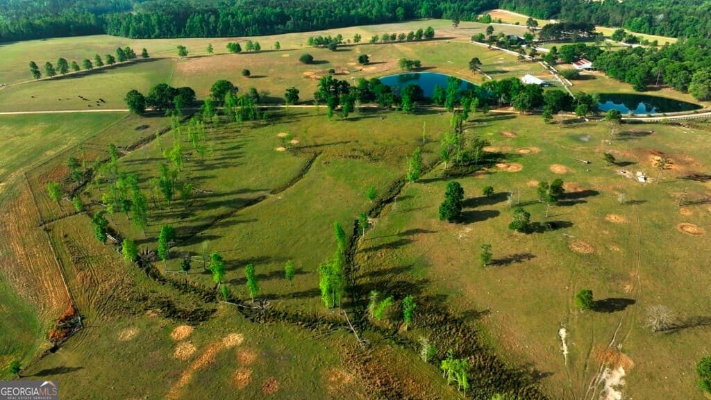 agriculture for sale at 5391 Big Pine Road, Garfield, GA 30425 — photo 5