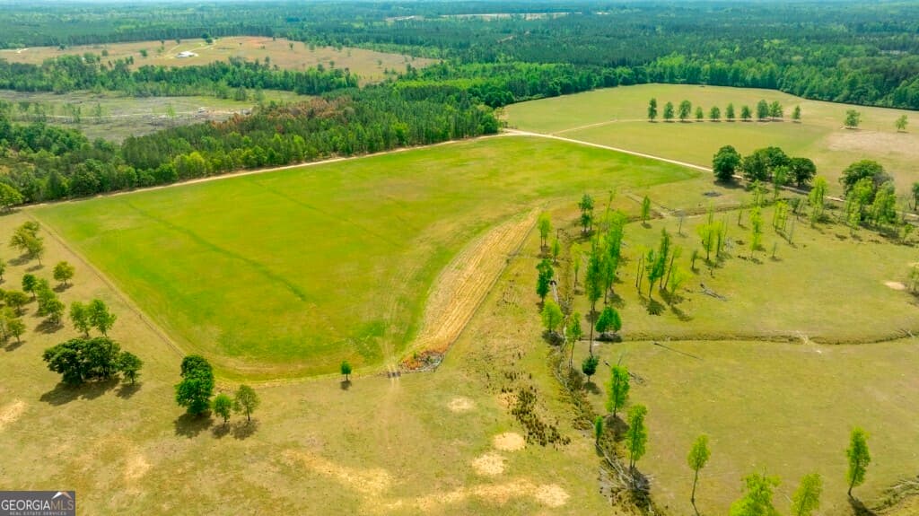 agriculture for sale at 5391 Big Pine Road, Garfield, GA 30425 — photo 9