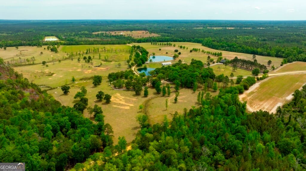 agriculture for sale at 5391 Big Pine Road, Garfield, GA 30425 — photo 10