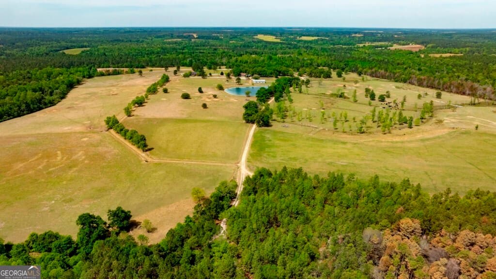 agriculture for sale at 5391 Big Pine Road, Garfield, GA 30425 — photo 8